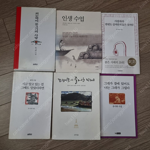 류시화책 인생수업/사랑하라 한번도 상처받지 않은것 처럼/왼눈박이 물고기의 사랑