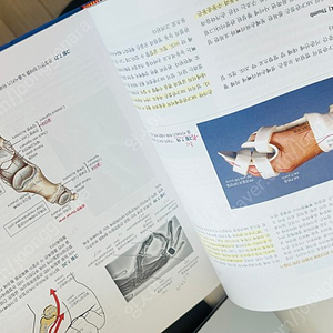 임상운동학 및 기능해부학 근육뼈대계의 구조와 기능, 제3판 Paul Jackson Mansfield, Donald Neumann (지은이), 채윤원 (옮긴이) 현문사