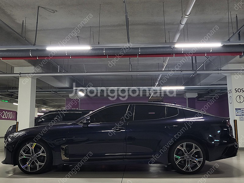 2019 스팅어 2.0 프라임 판매합니다--3