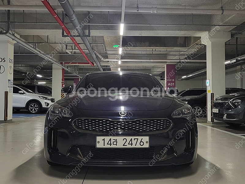 2019 스팅어 2.0 프라임 판매합니다--8