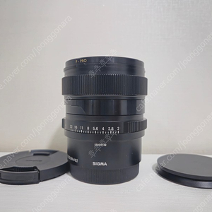 시그마 24mm F2 DG DN 소니fe 풀프레임 렌즈