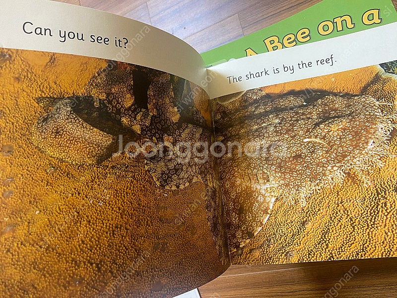 슈퍼맘 빅캣 (Big Cat) 레테앤사운드--9