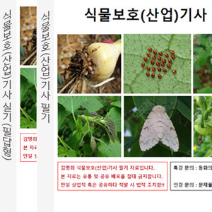 김명희 식물보고(산업)기사 실기 교재 삽니다.