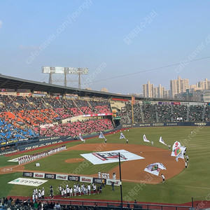 2023-2024 kbo 공인구 구매합니다