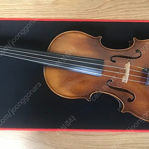 입문 중급용 반수제 바이올린 페르남부르코 활 뱀 하드케이스 일괄 판매