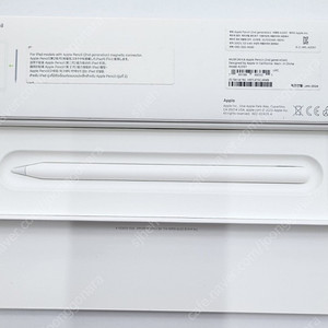 Apple Pencil (2nd generation) A2051