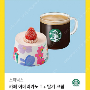 스타벅스 카페 아메리카노 T+딸기 크림 쉬폰 케이크