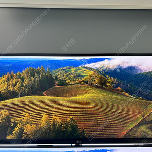 LG 울드라와이드 34wl750