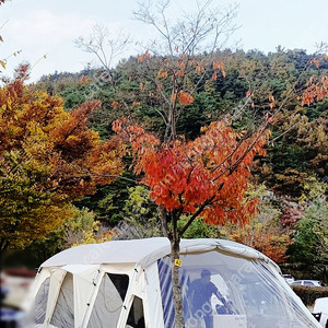 노스피크 퍼시픽오션(소이밀크), 옐로우스톤 하이브리드(소이밀크)