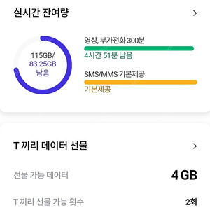 sk데이터 2기가