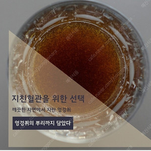 토종 야생엉겅퀴즙/엉겅퀴진액/뿌리,줄기,잎,꽃잎까지 모두 사용/토종엉겅퀴즙