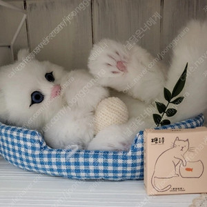 카페 인테리어 장식 소품 여러가지