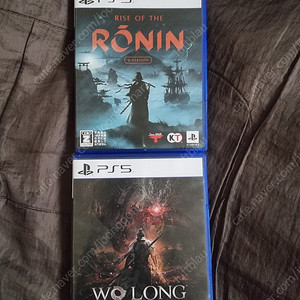 와룡 폴른 다이너스티 2만