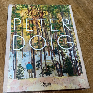 피터도이그 peter doig 고급 화집 판매