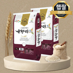 선착순)23년햅쌀 수향미쌀10kgx2포(총20kg)무료배송62900원 빠른배송