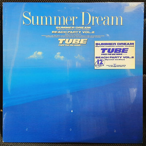 TUBE Summer Dream (Remix) 12인치 싱글 미개봉 신품