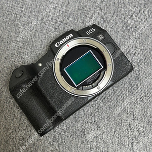 캐논 EOS RP + 시그마 35mm f1.4 + 어댑터 (인터넷방송용)