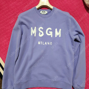 MSGM 맨투맨