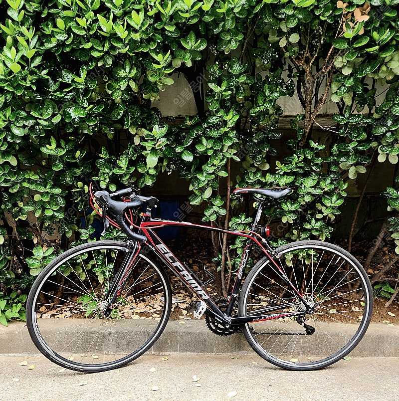 엘파마 에포카 E3500 로드자전거