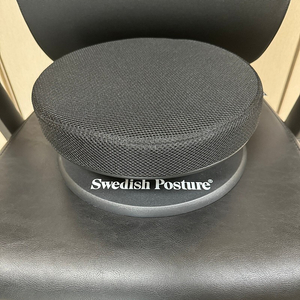 [균형 의자] Swedish Posture Balance Ergonomic Seat
