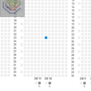 5월 30일 목요일 삼성라이온즈vs키움히어로즈 블루존 3-2구역 1자리 정가양도