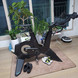 탁스네오바이크