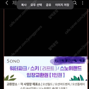 소노 워터파크 티켓