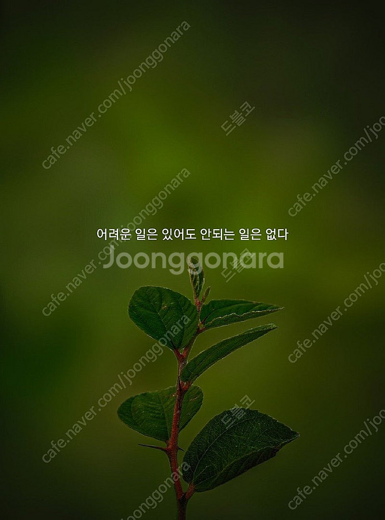 스타벅스 아메리카노T 쿠폰 판매합니다--0