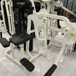 Cybex 머신들 (싸이벡스/사이벡스/글루트,덩키킥,백익스텐션,암컬,플라이/리어델트 팝니다