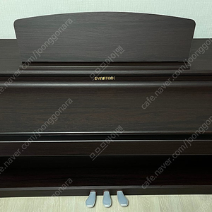 다이나톤 DT10 디지털 피아노