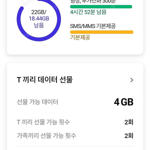 skt 데이터 1기가 (sk 데이터)