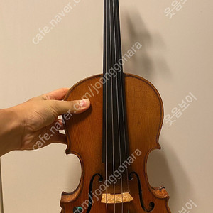 올드 바이올린