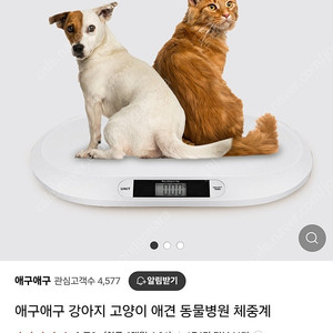 반려동물 체중계