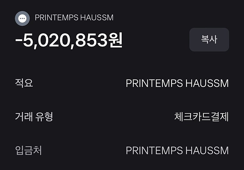 [새상품] 셀린느 트리오페 선글라스--2