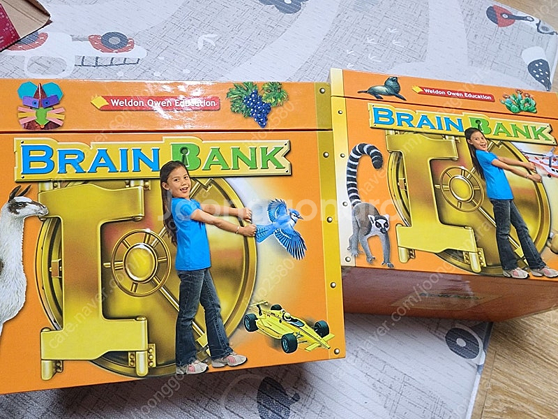 브레인뱅크 G1 세이펜 버전(대구/택포7만)--0