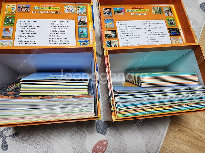 브레인뱅크 G1 세이펜 버전(대구/택포7만)--1