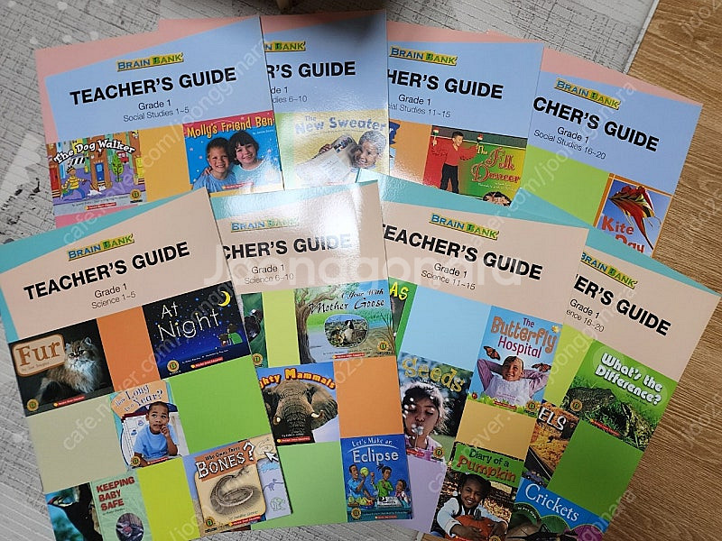 브레인뱅크 G1 세이펜 버전(대구/택포7만)--2