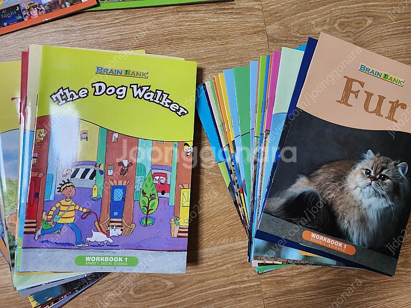 브레인뱅크 G1 세이펜 버전(대구/택포7만)--5