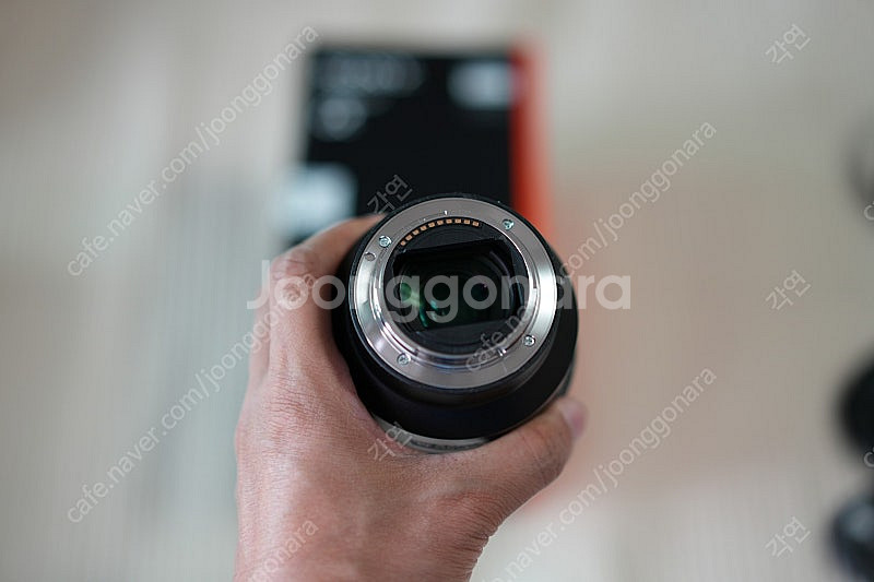 소니 A7R2, 2470GM, 시그마 사무식+라에3--2