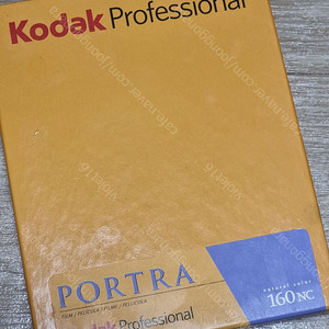 코닥 Kodak 160nc Portra 4x5 유통기한 지난 대형 카메라용 컬러 필름 ------가격인하----