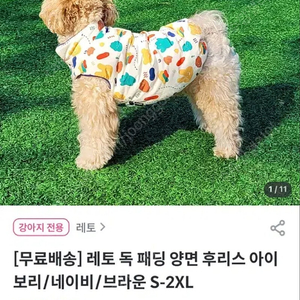 레토 강아지패딩