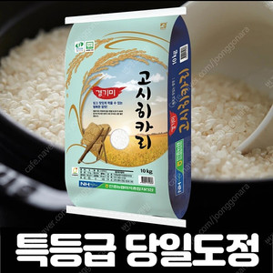 선착순)특등급 안중농협 경기미 고시히까리쌀10kg 무료배송29900원 당일도정