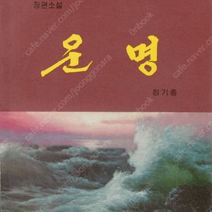 < 북한출판도서 > 운명 - 장편소설 총서 <불멸의 력사> 정기종