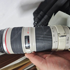 캐논 70-200mm F4L 아기백통