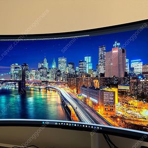 LG OLED 모니터 34GS95QE 2024