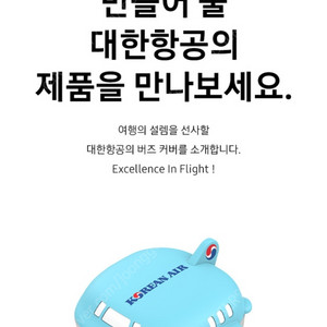 버드 대한항공 케이스 삽니다