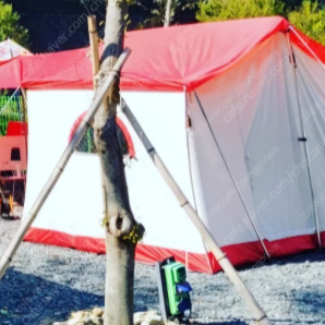 콜맨 오아시스 스트로베리 텐트