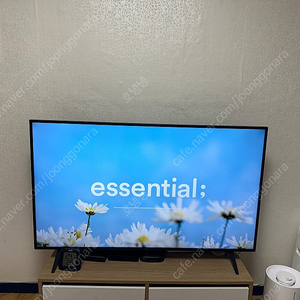 LG 4K 50인치 TV 50UR8250KNA 스탠드형