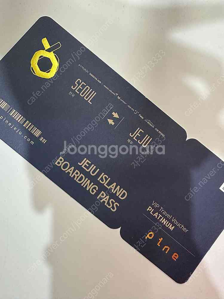 파인 제주 VIP 여행권(항공 제공+렌터카제공)제주 항...--0