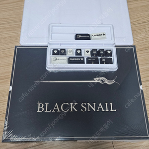 <미개봉택포> 상팽이 gmk black snail 알파, 노벨키 판매 (베이스킷 제외)